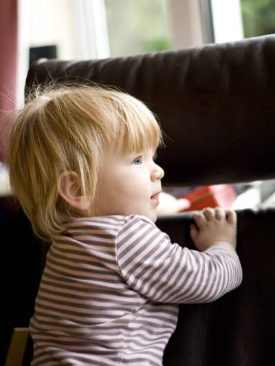 Looking out into the garden Looking out into the garden