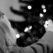 Hammy Christmas Worrybomb discovers the christmas tree