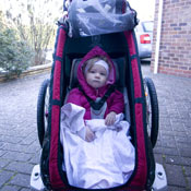 Worrybomb in her Chariot Worrybomb in her Chariot