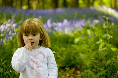 Chocolate and Bluebells