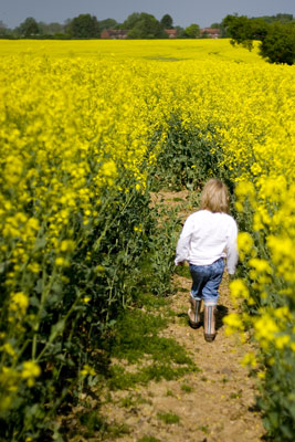 Worrybomb runs through the maze like yellow field