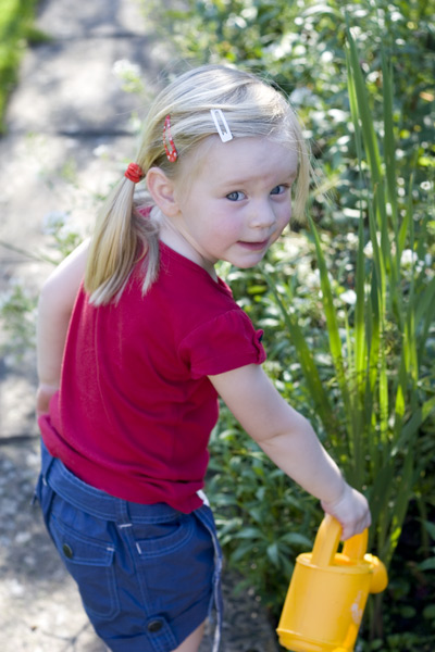 A little gardening A little gardening