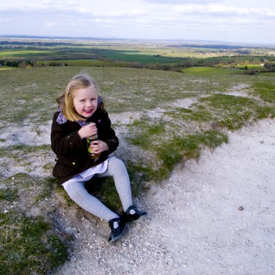 Looking for Dragons Blood Looking for Dragons Blood