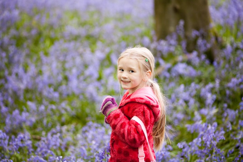 Bluebells