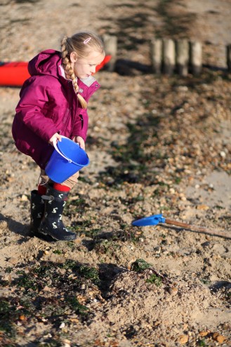 Cleaning the weed from the beach