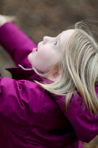 Swinging on the chestnut tree