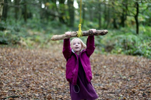 Swinging on the chestnut tree