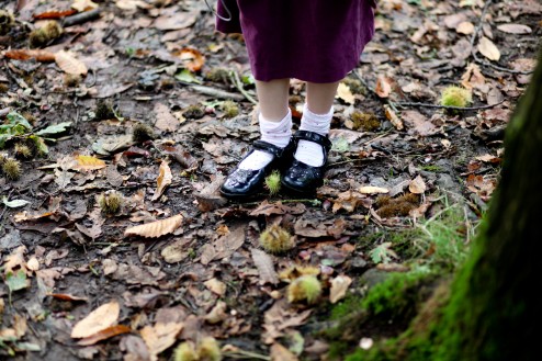 A new method for opening the chestnut shell