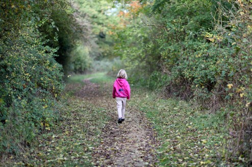 Worrybomb goes forth