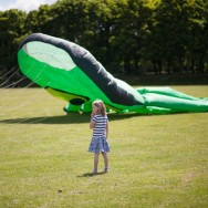 Big Green Octopus Kite
