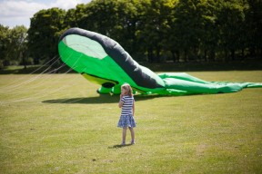 Big Green Octopus Kite