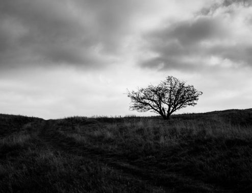 fireworkswhh-1010261