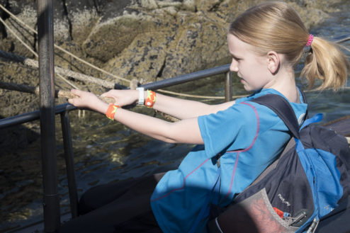 Worrybomb on the Mary Doune